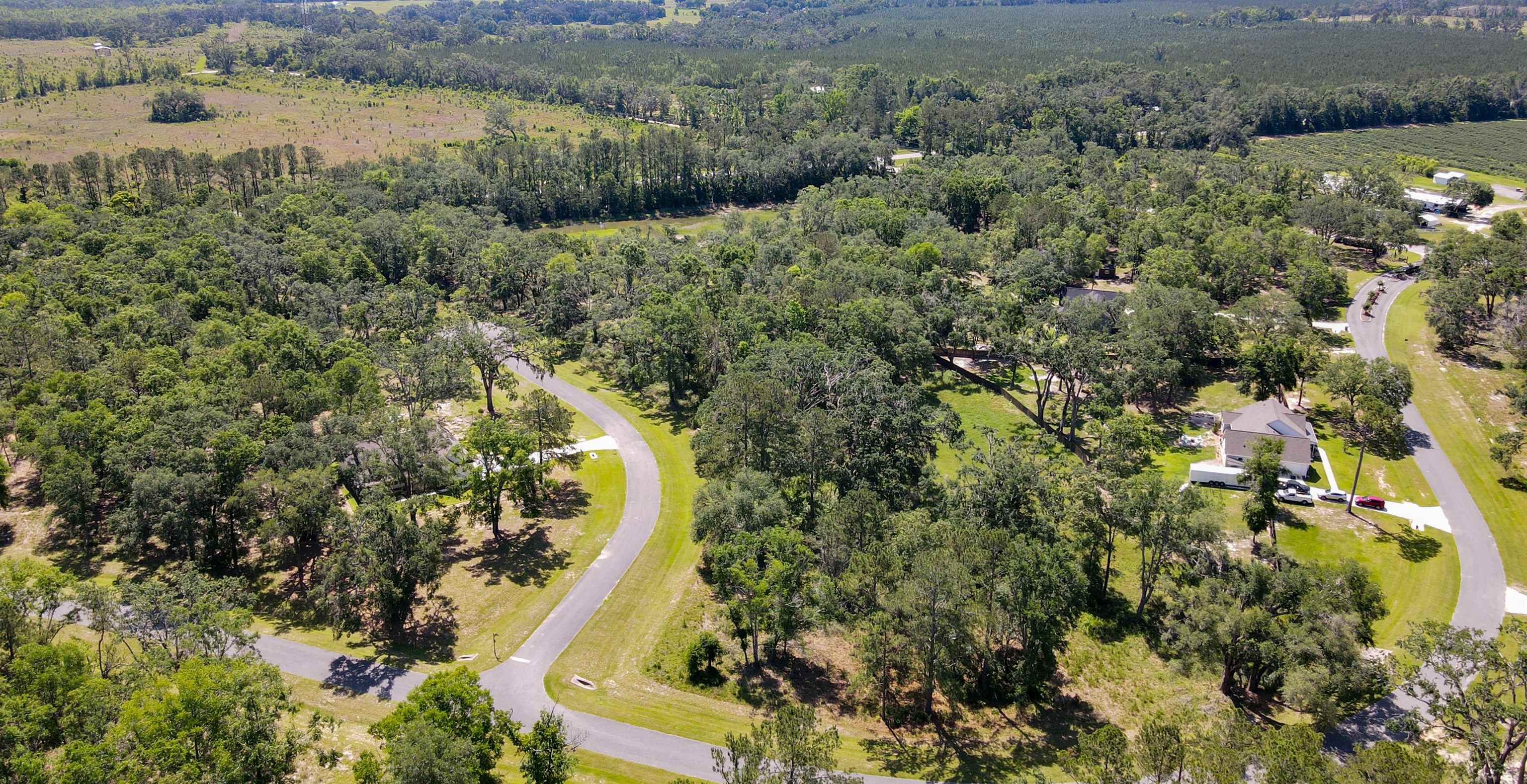 Lot 4 Northeast Ne Highway Pinetta, FL 32350 - Photo 4 of 10