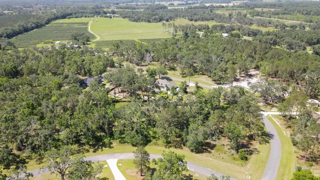 $65,000 | Lot 4 Northeast Ne Highway, Pinetta, FL 32350