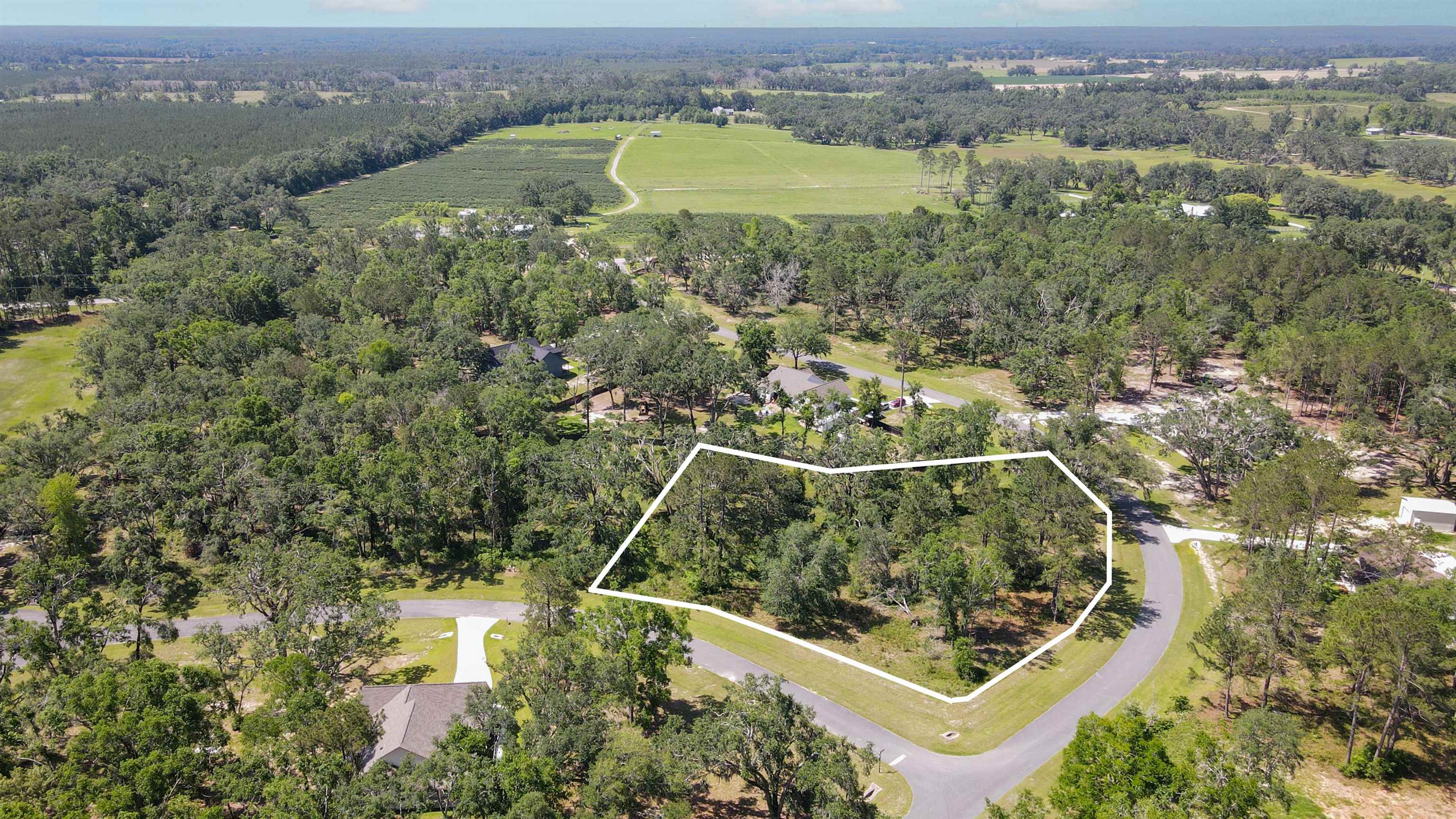 Lot 4 Northeast Ne Highway Pinetta, FL 32350 - Photo 10 of 10