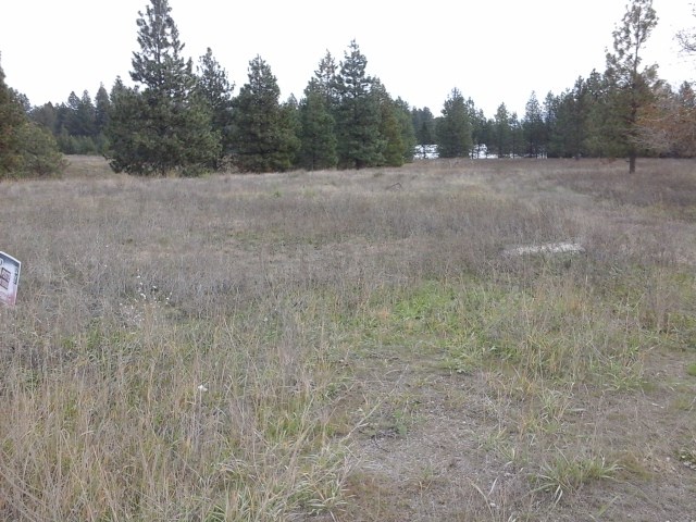31016 North Austin Road Deer Park, WA 99006 - Photo 1 of 6 Gallery Image 1