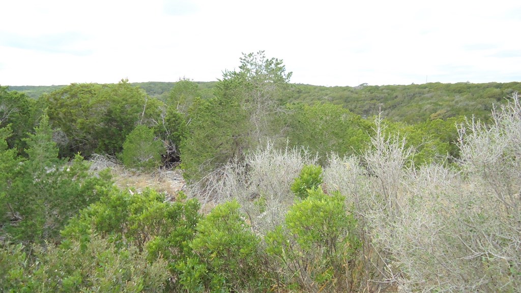 229 Pinon Loop East Camp Wood, TX 78833 - Photo 24 of 24