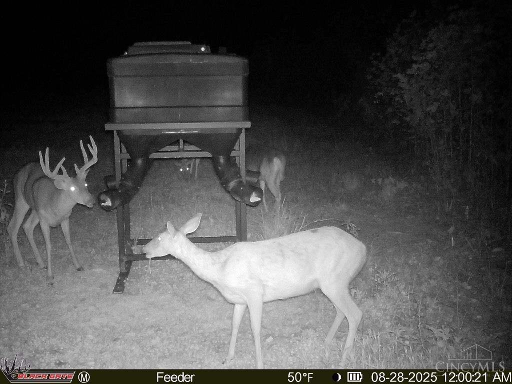 A Enley Road McDermott, OH 45652 - Photo 35 of 97