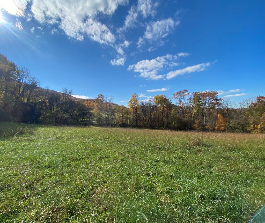 34 Thomas Cross Road Sevierville, TN 37876 - Photo 5 of 6