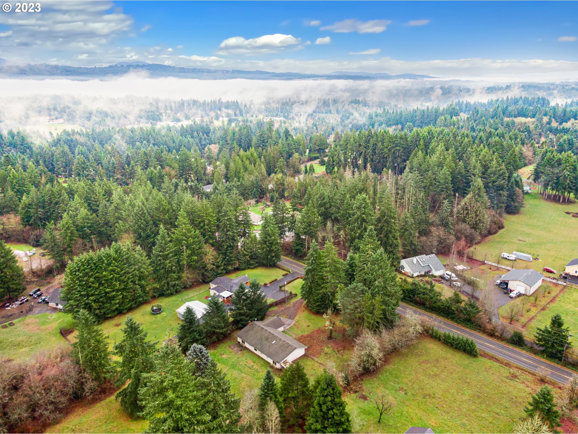 17802 Northeast 219th Street Battle Ground, WA 98604 - Photo 36 of 42 an aerial view of residential houses with outdoor space and trees