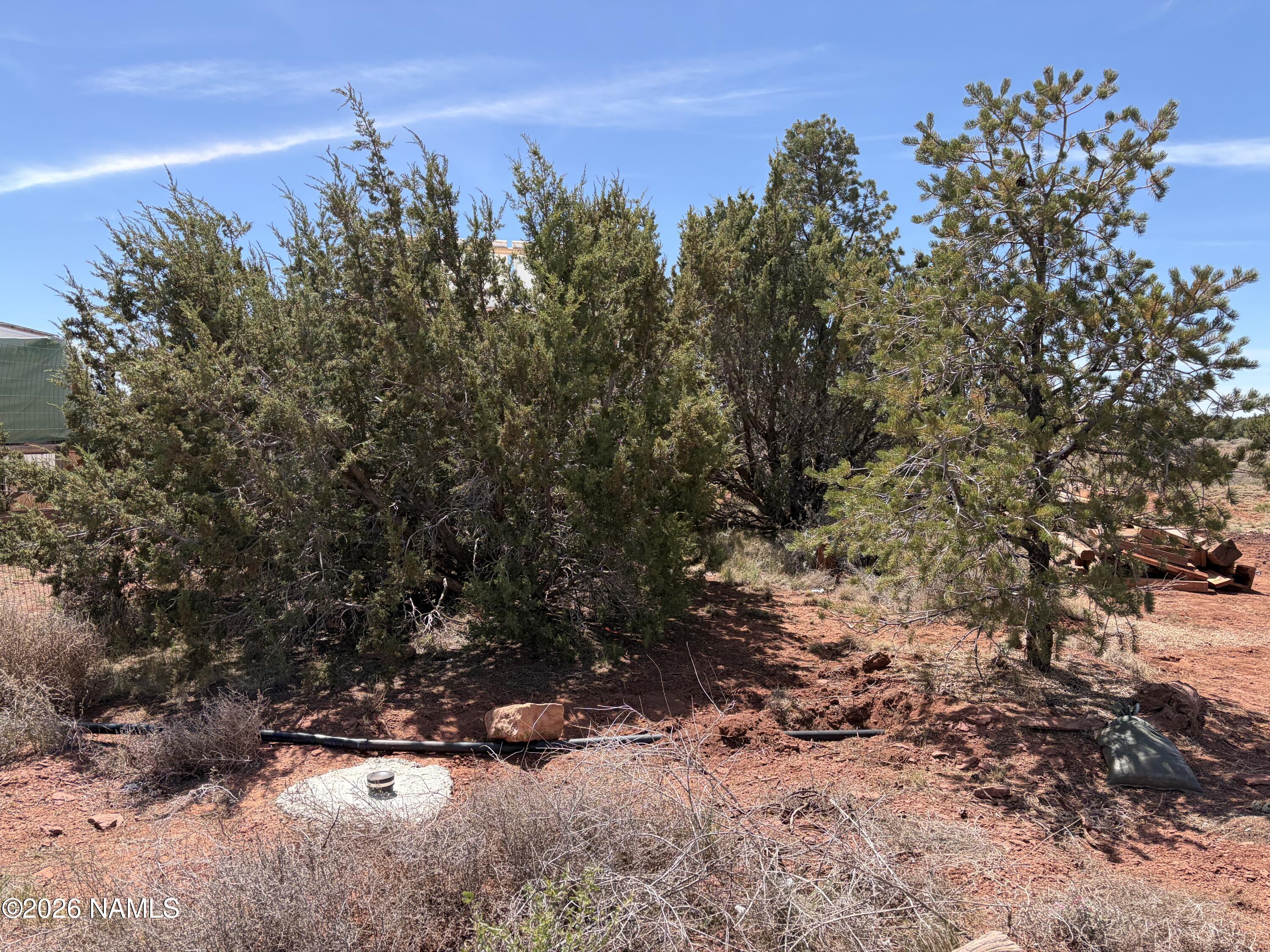 3868 Meadowbrook Drive Williams, AZ 86046 - Photo 39 of 45 IMG_2223