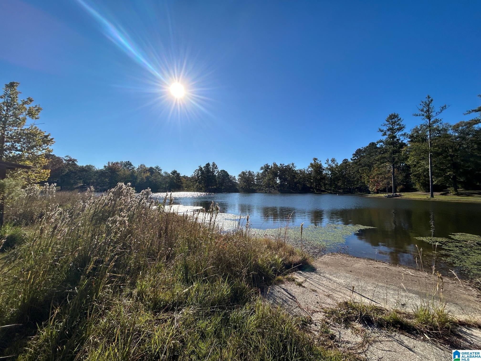 0 Rockyview Road, Unit X West Blocton, AL 35184 - Photo 5 of 11