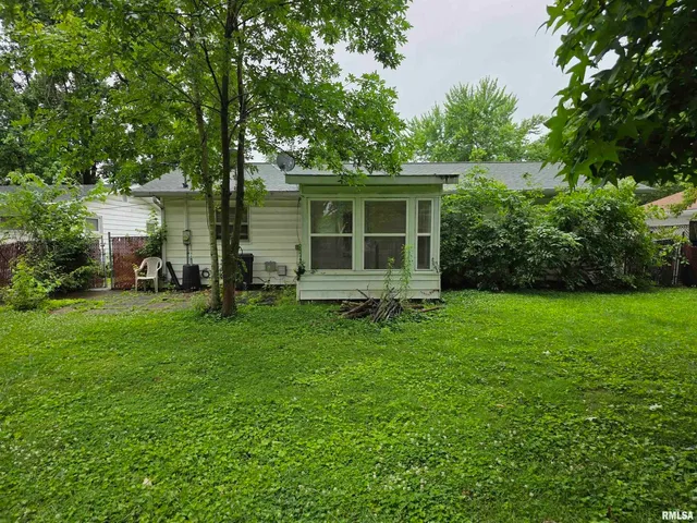 a view of a backyard with plants and large tree