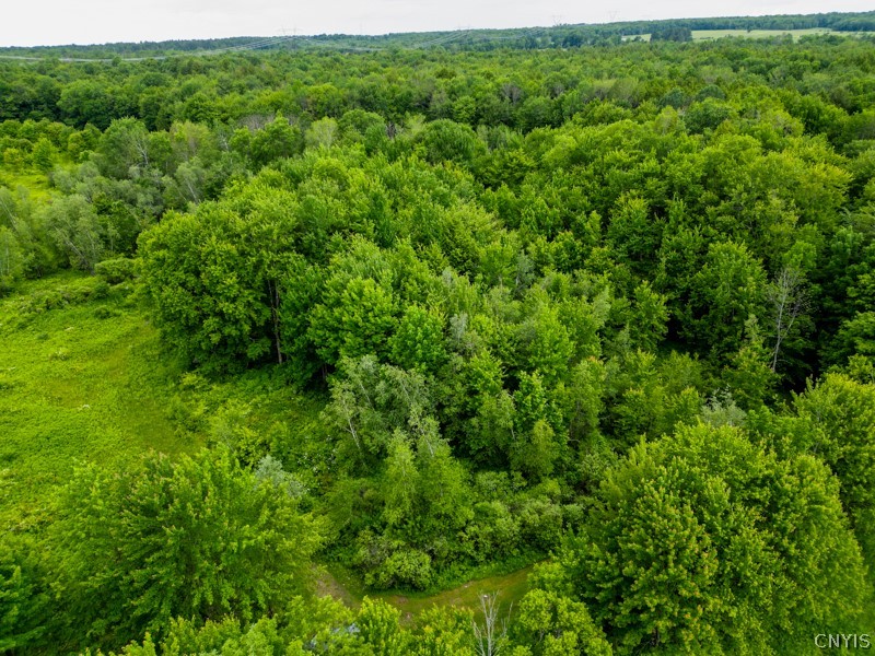 8031 Benson Road Floyd, NY 13354 - Photo 9 of 33