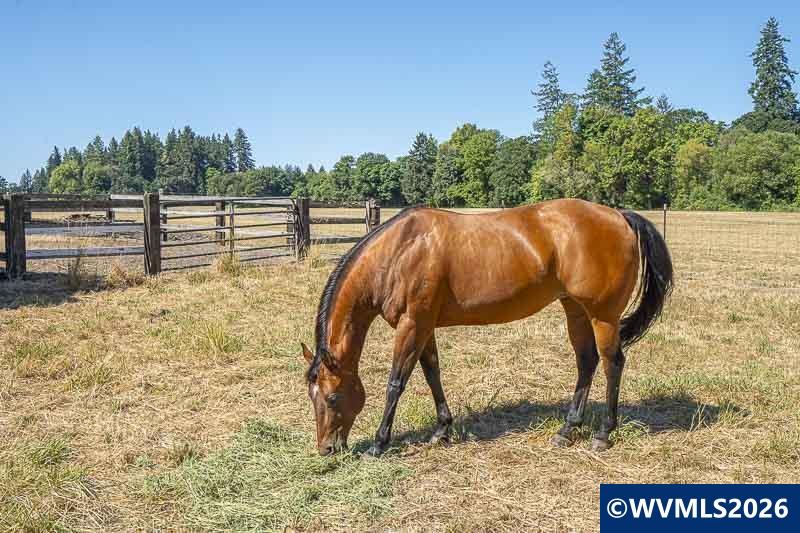 33844 White Oak Road Corvallis, OR 97333 - Photo 3 of 30
