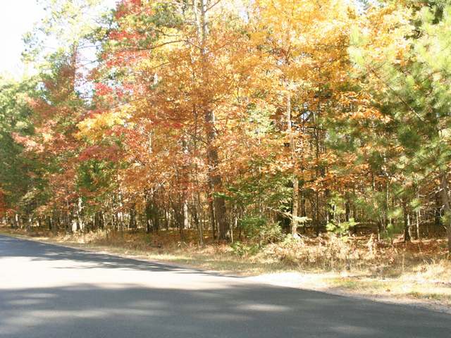 2414 Halberstadt Road St. Germain, WI 54558 - Photo 12 of 12 Gallery Image 12
