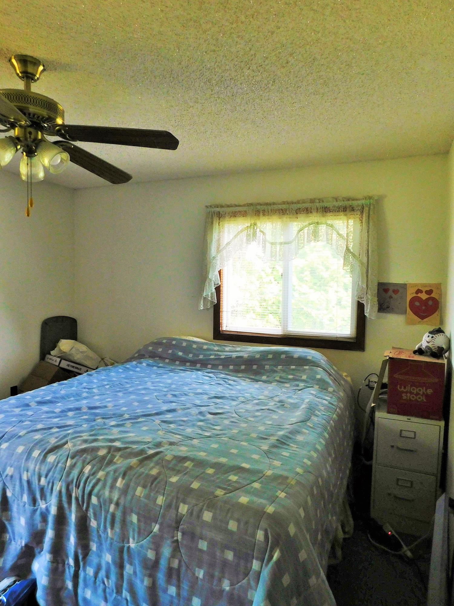 2688 Paul Rose Road Frankfort, MI 49635 - Photo 23 of 44 DSCN5012