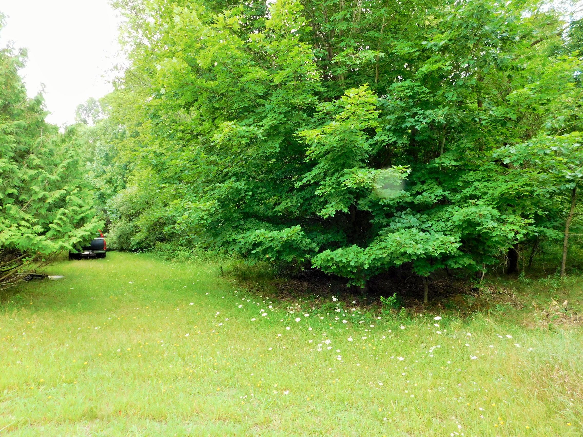 2688 Paul Rose Road Frankfort, MI 49635 - Photo 33 of 44 DSCN4987