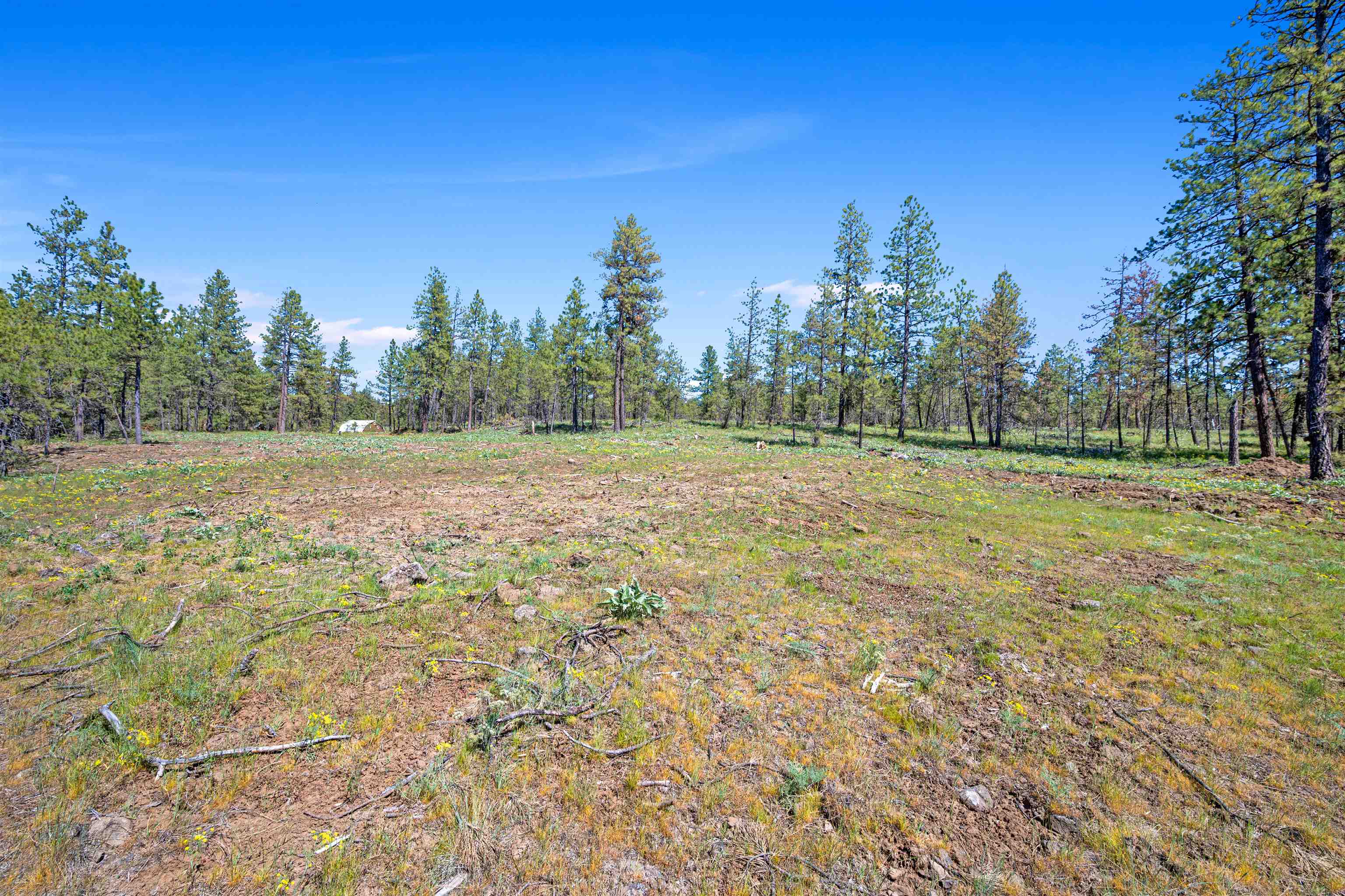 Tba South Goss Road Cheney, WA 99004 - Photo 8 of 23