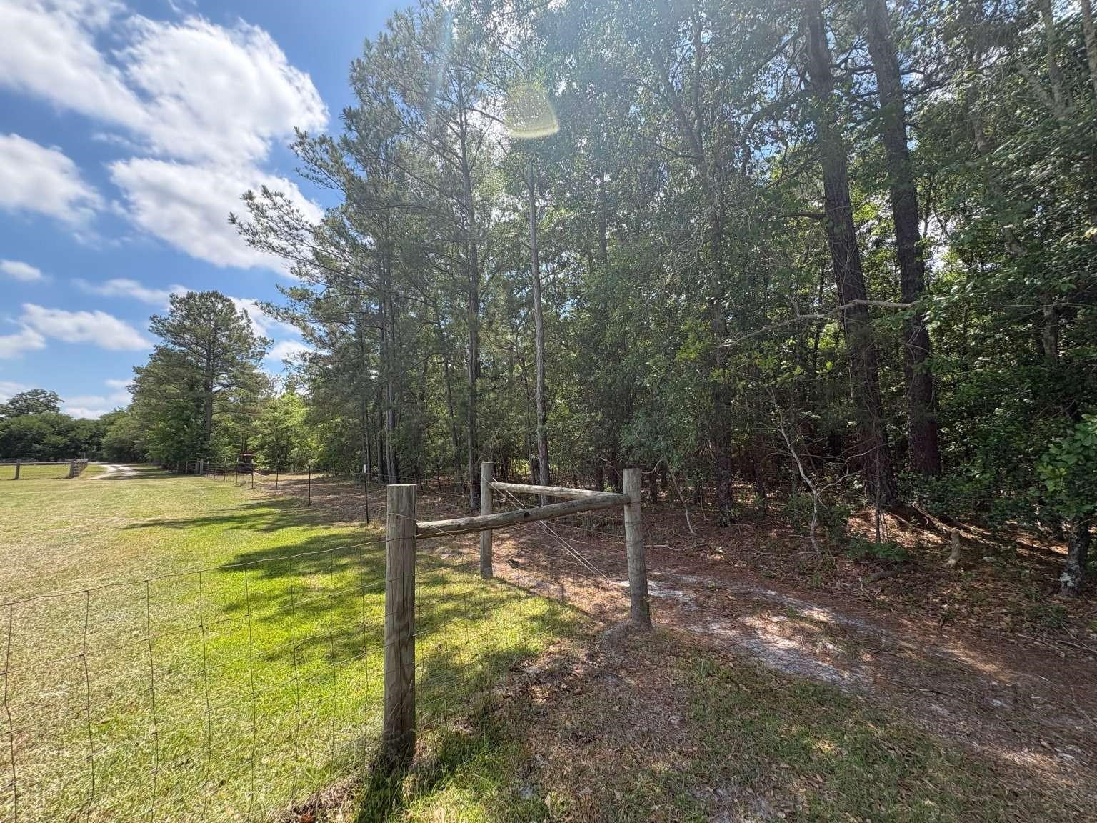 1660 Nathan Drive Loris, SC 29569 - Photo 17 of 47
