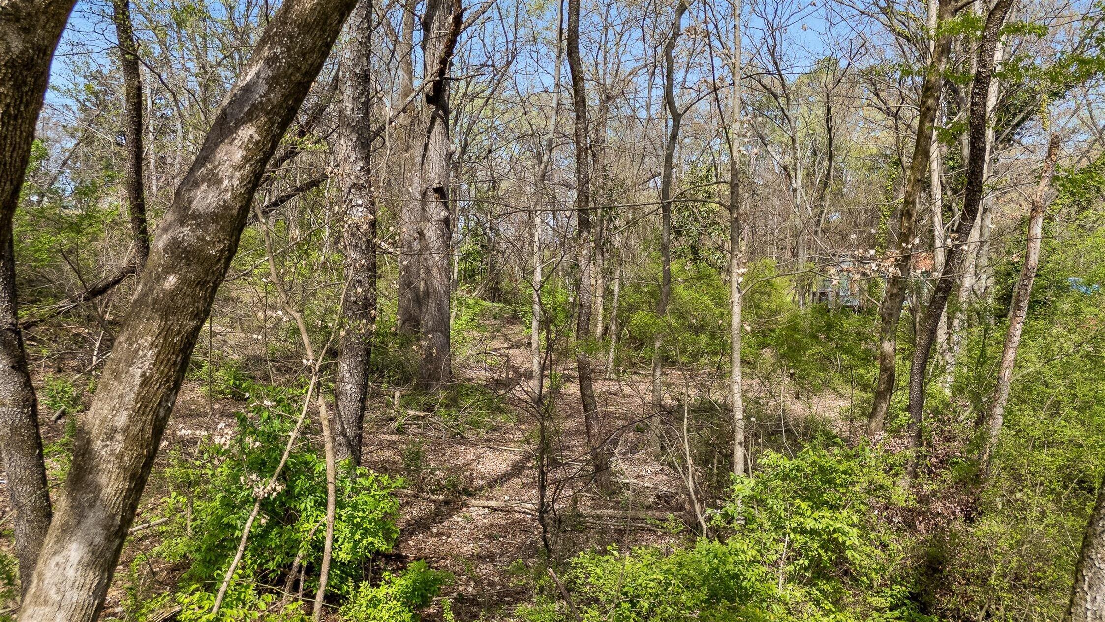 7401 Old Cleveland Pike Chattanooga, TN 37421 - Photo 49 of 64 7401 Old Cleveland Pike