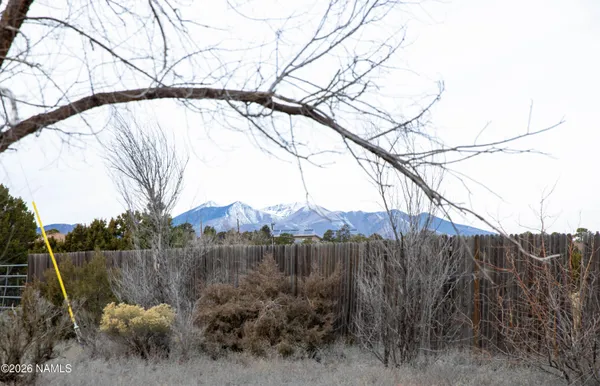 a view of a backyard of the house