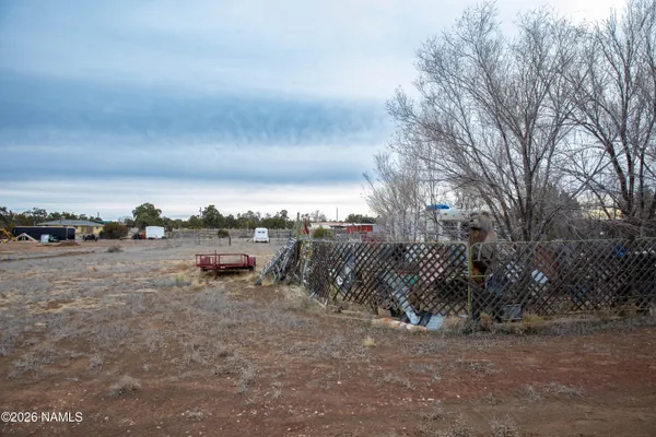 a view of a dry yard with trees