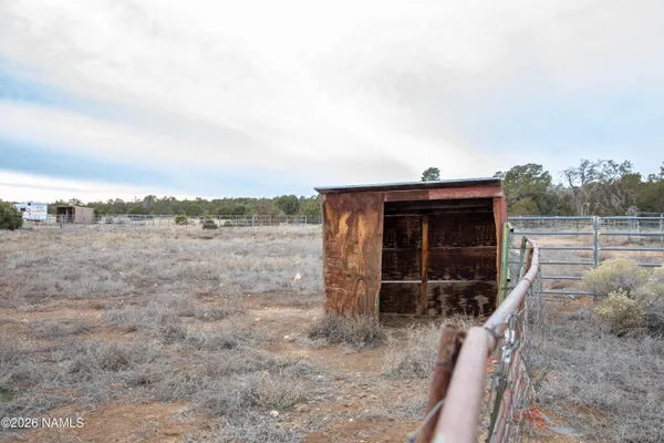 a view of a dry yard with trees