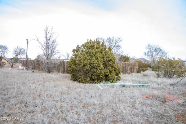 a view of a yard and mountain view
