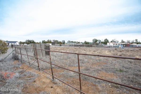 a view of a yard with large trees