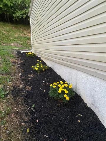 a picture of a tree with a garden