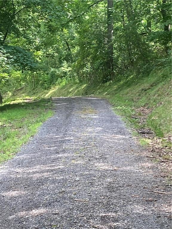 82 Sparta Road Prosperity, PA 15329 - Photo 6 of 14 a view of a yard with a tree