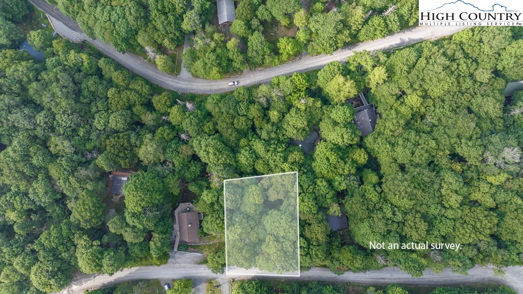 907 Charter Hills Road Beech Mountain, NC 28604 - Photo 16 of 17