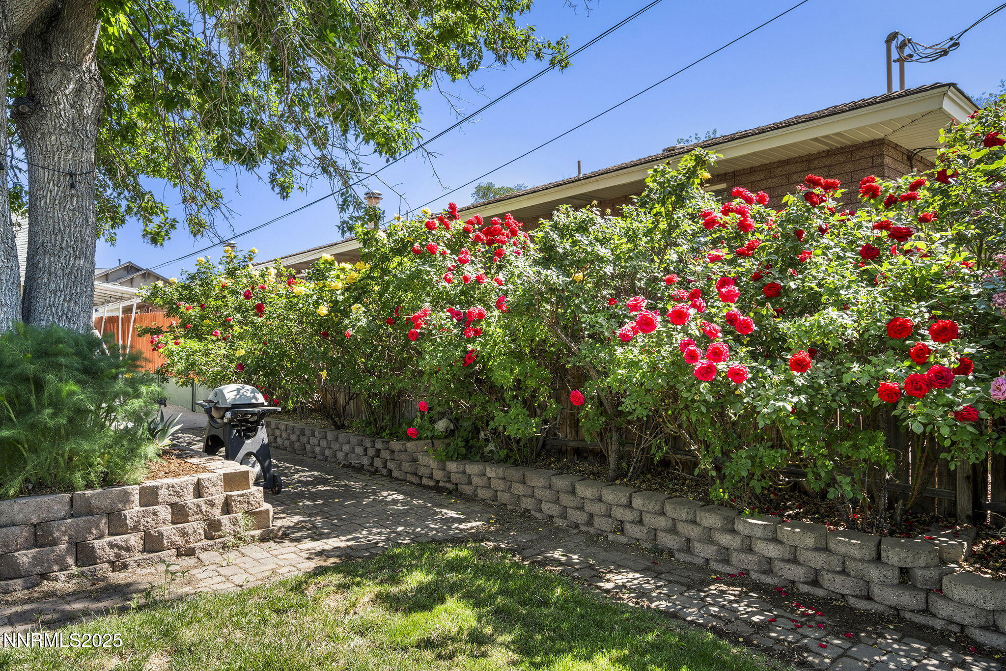 704 Roberts Street Reno, NV 89502 - Photo 34 of 52 a view of a bunch of flowers