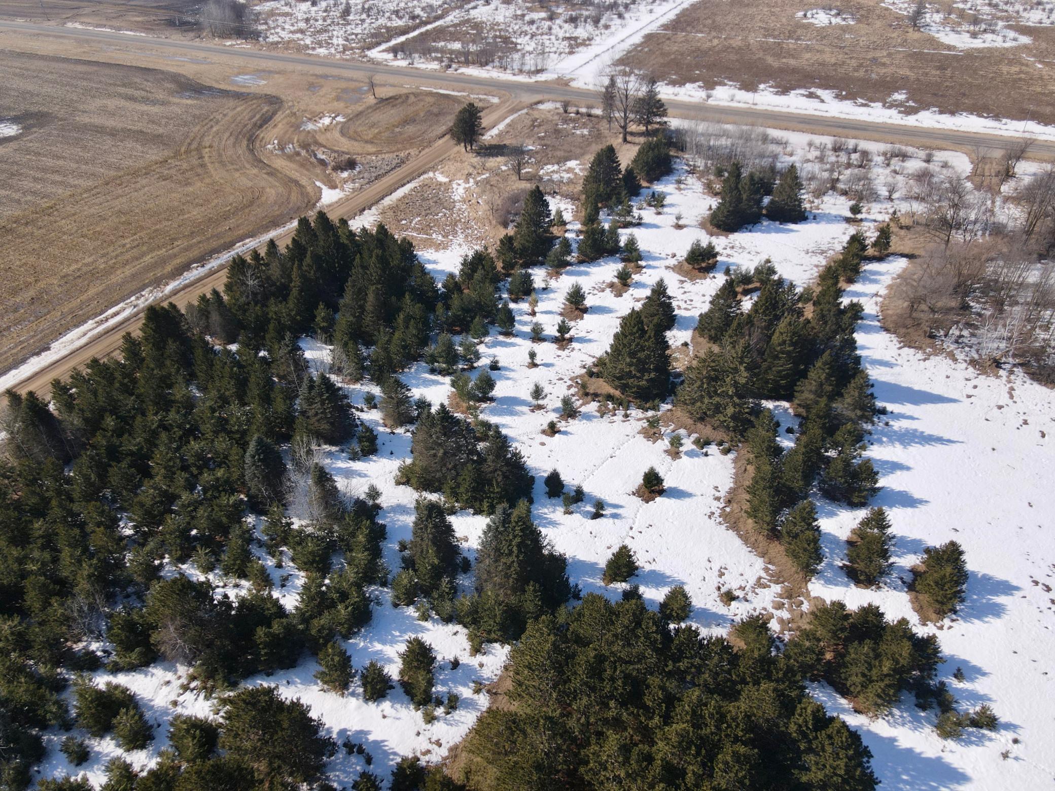 59527 235th Street Hewitt, MN 56453 - Photo 3 of 6