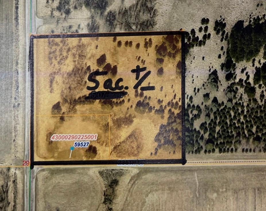 59527 235th Street Hewitt, MN 56453 - Photo 6 of 6