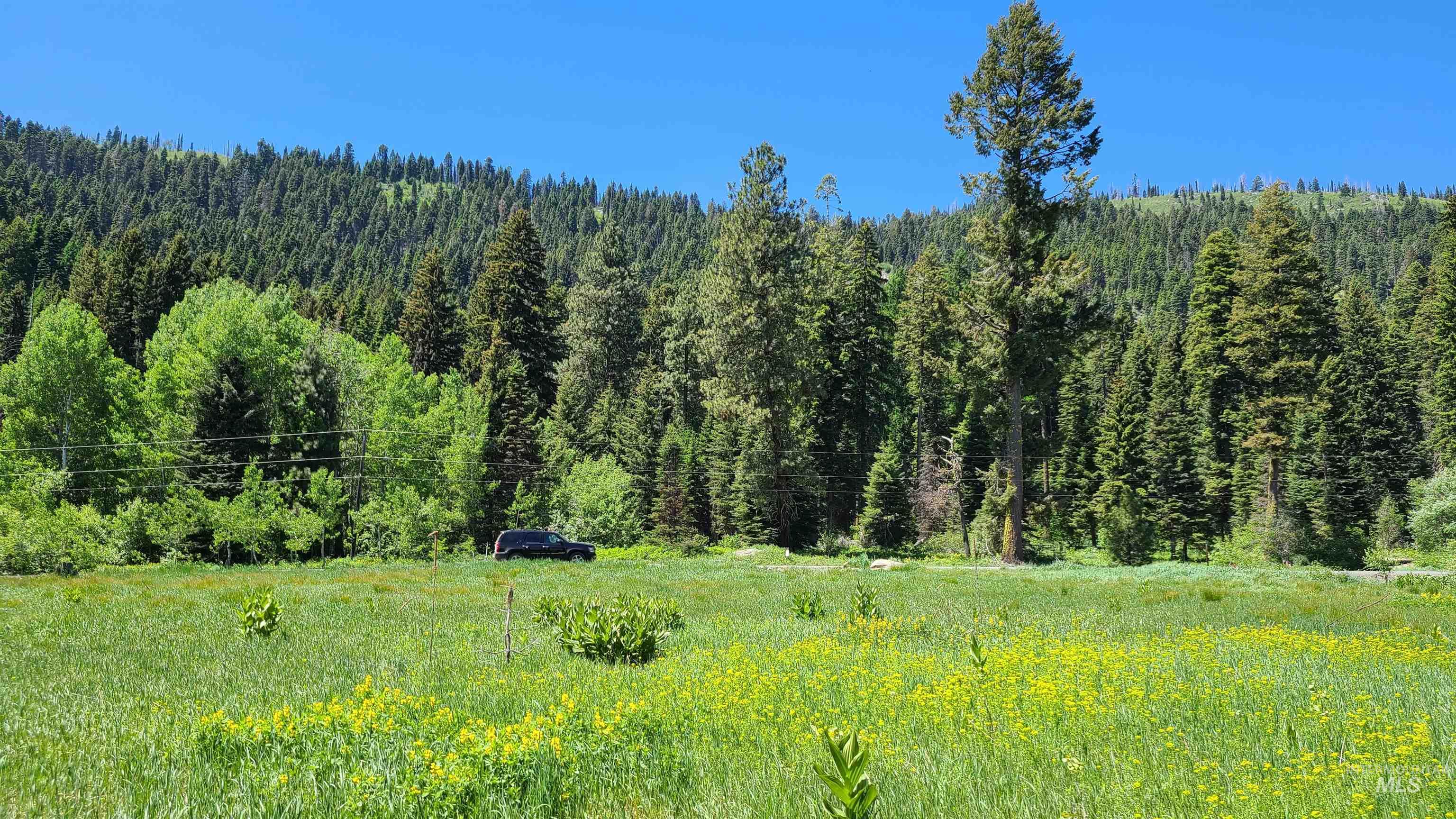 1608 Bear Trail Loop Cascade, ID 83611 - Photo 3 of 12