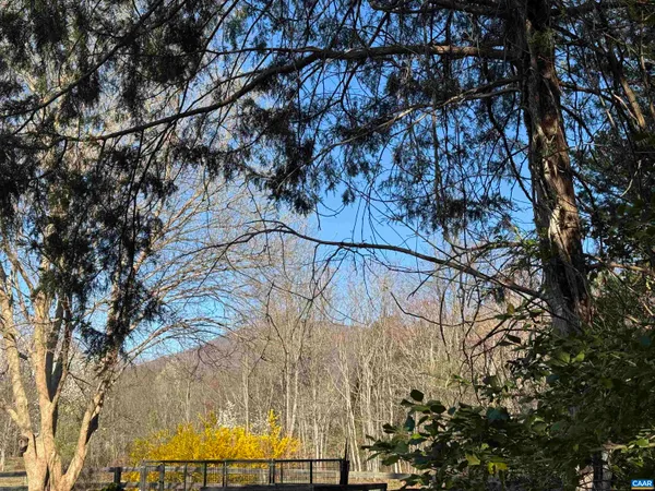 a view of tree next to a yard