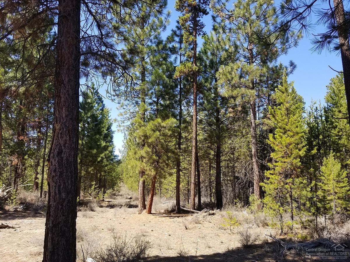 800 Robert Road La Pine, OR 97739 - Photo 2 of 5 Additional Photo