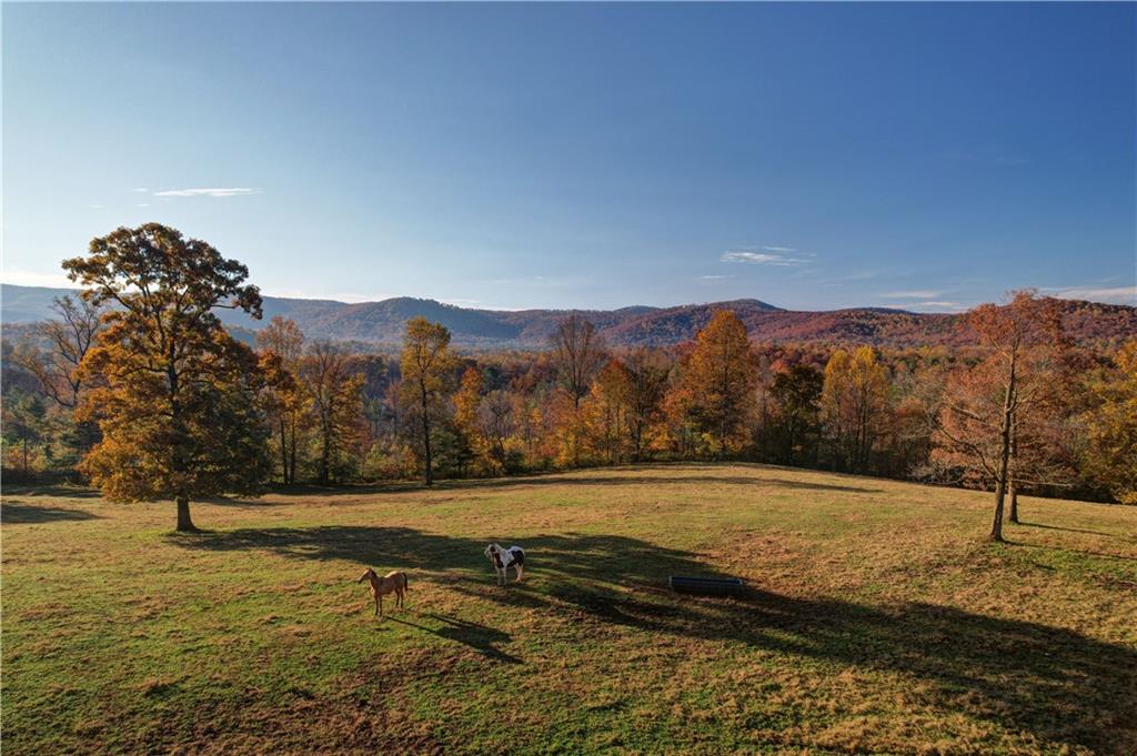 2086 Burnt Mountain Road Ellijay, GA 30536 - Photo 6 of 148