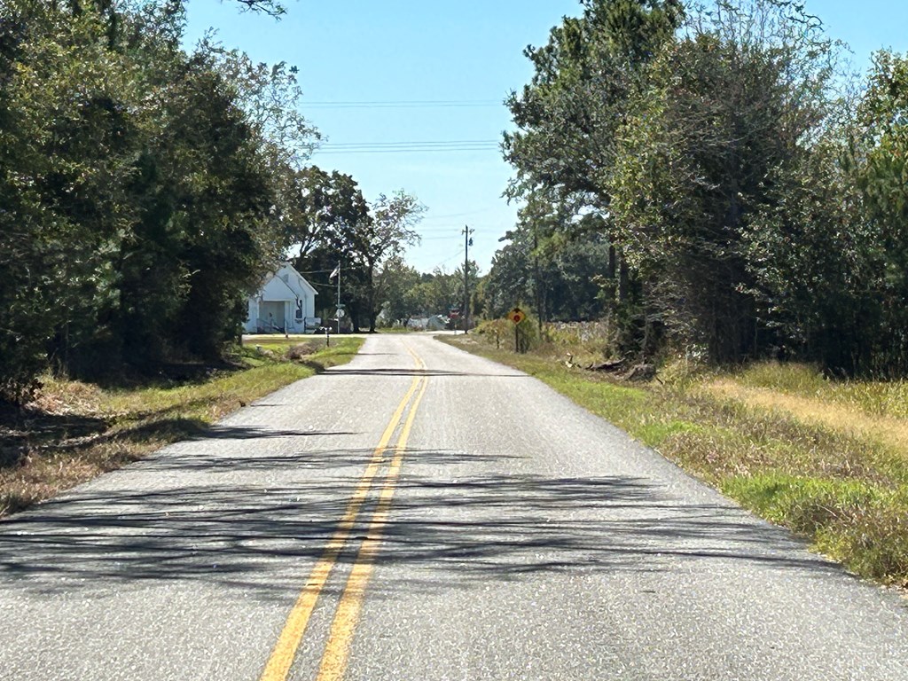 20-ac Coot Adams Road Ashford, AL 36312 - Photo 23 of 28