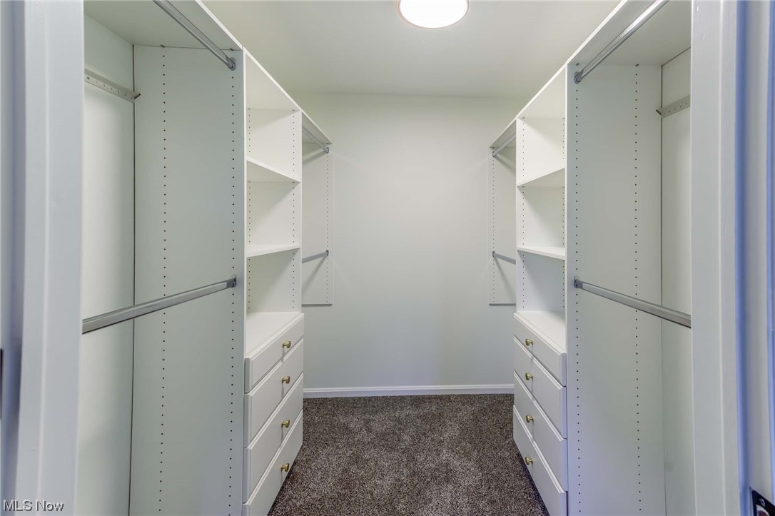 1820 Spring Valley Avenue Northwest Canton, OH 44708 - Photo 21 of 32 Walk in closet with dark carpet