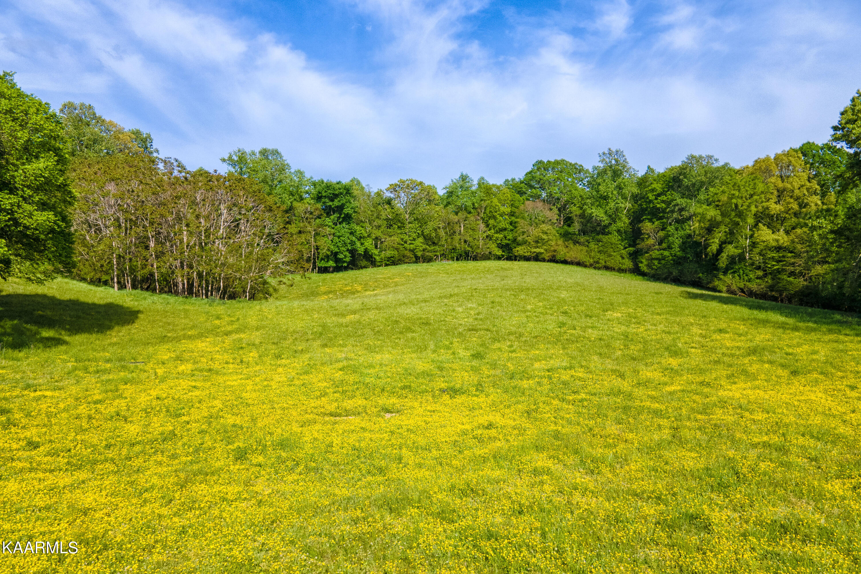 Murrayville Road La Follette, TN 37766 - Photo 18 of 20 2097 MURRAYVILLE RD-18