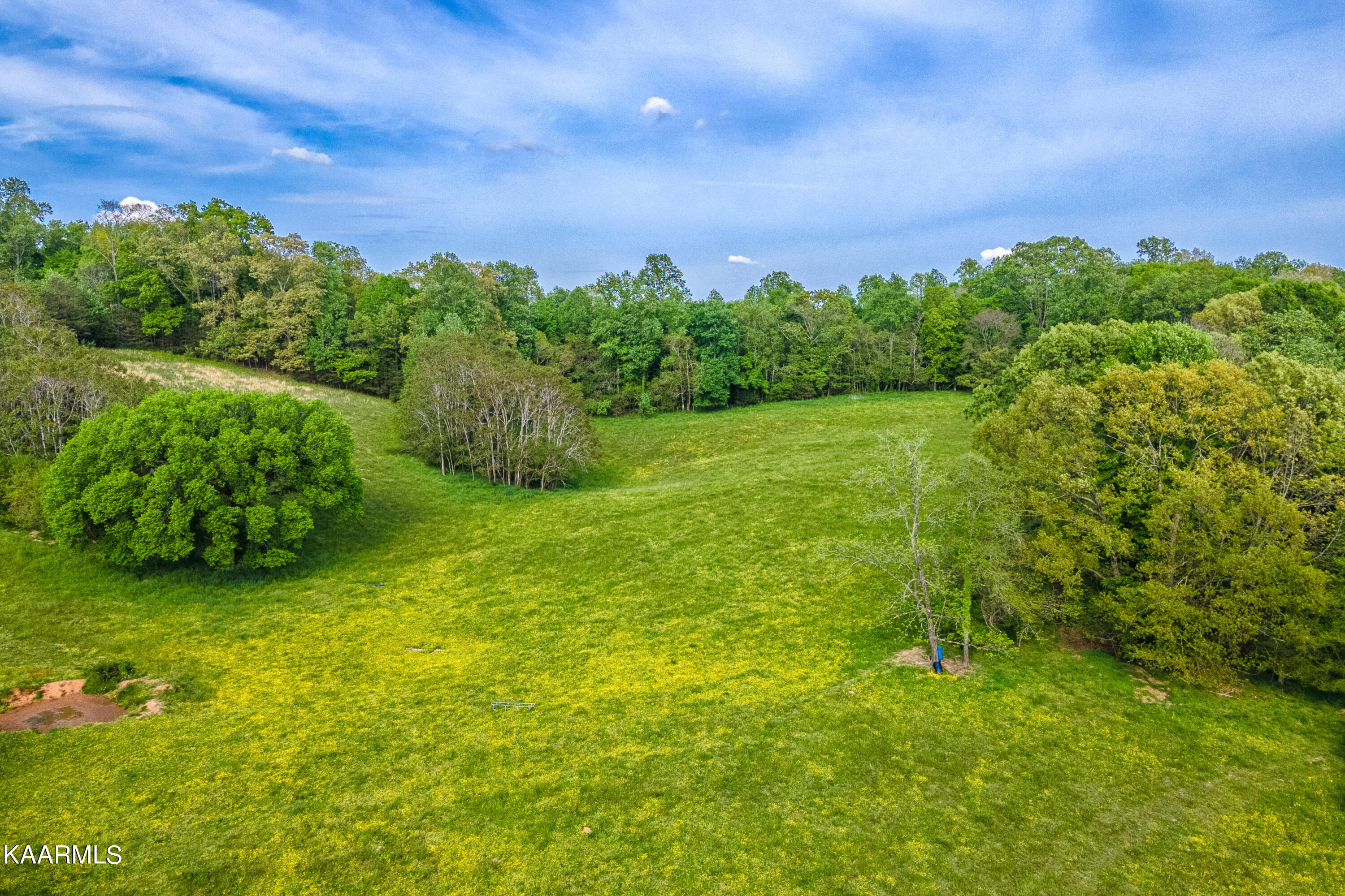 Murrayville Road La Follette, TN 37766 - Photo 4 of 20 2097 MURRAYVILLE RD-5