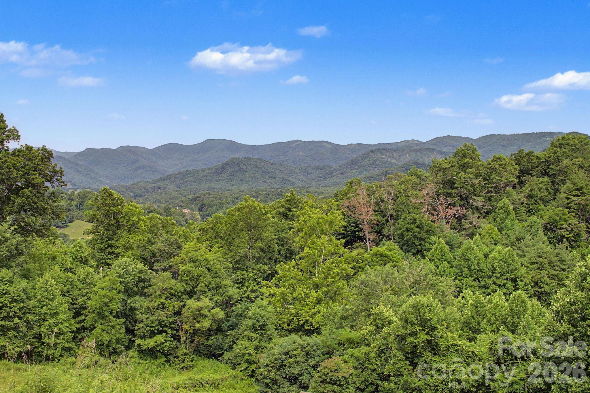 340 Earlys Mountain Road Leicester, NC 28748 - Photo 28 of 29
