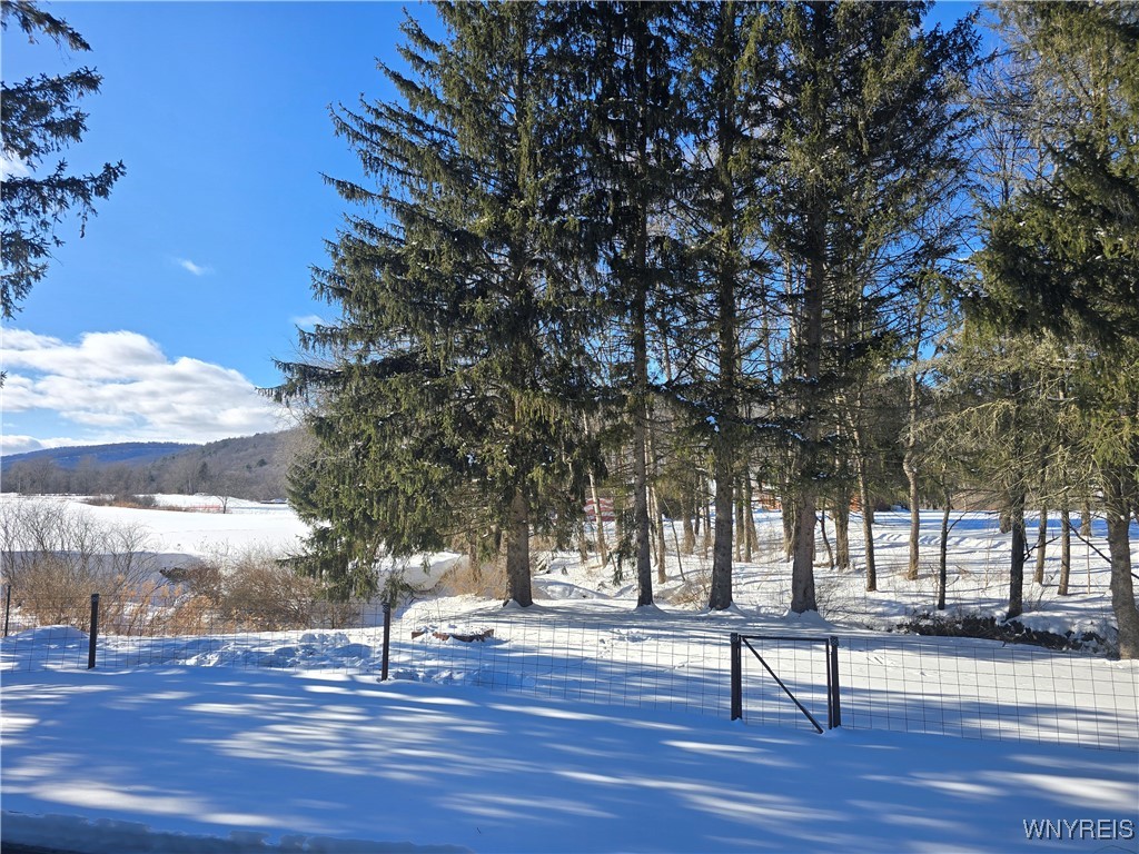 1845 Portville Obi Road Genesee, NY 14770 - Photo 9 of 50