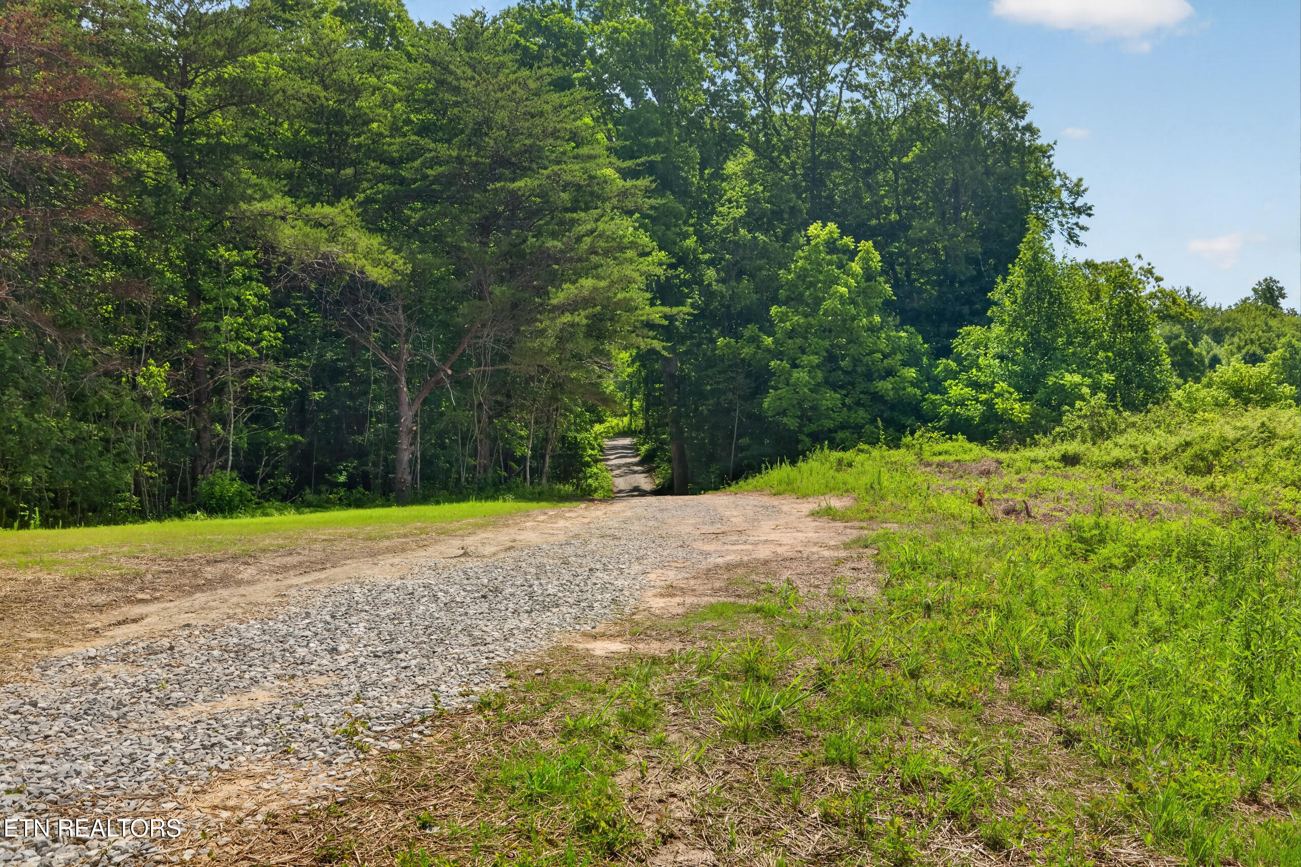 1090 Bill Black Road Clarkrange, TN 38553 - Photo 44 of 46 1T1C0775