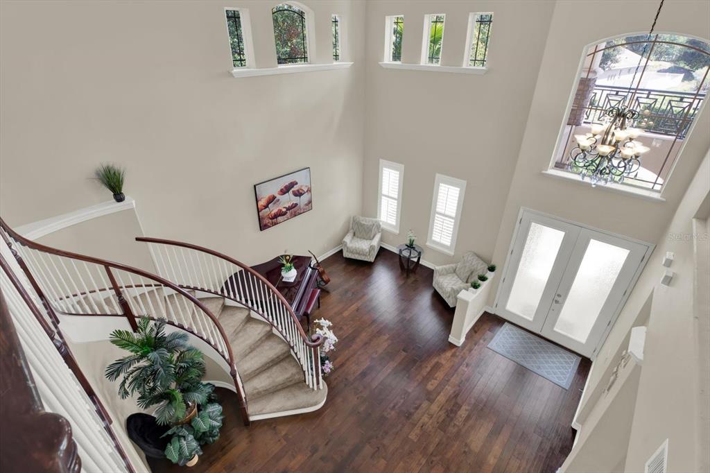 9137 Creedmoor Lane New Port Richey, FL 34654 - Photo 29 of 62