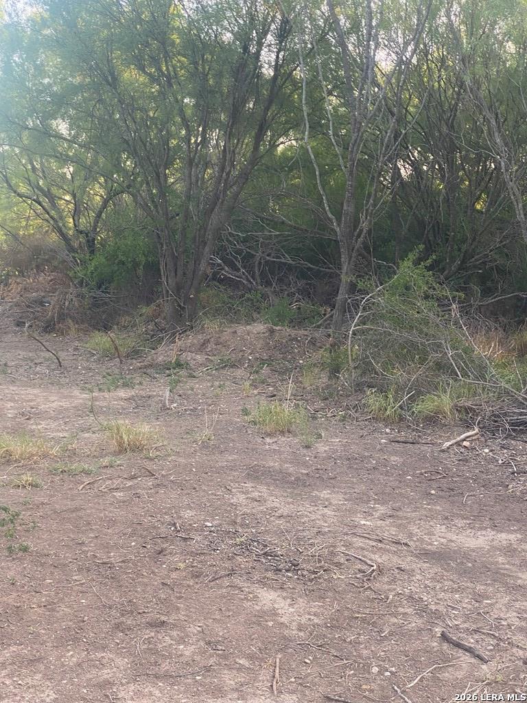 496 D D Chavarria Road Eagle Pass, TX 78852 - Photo 3 of 6