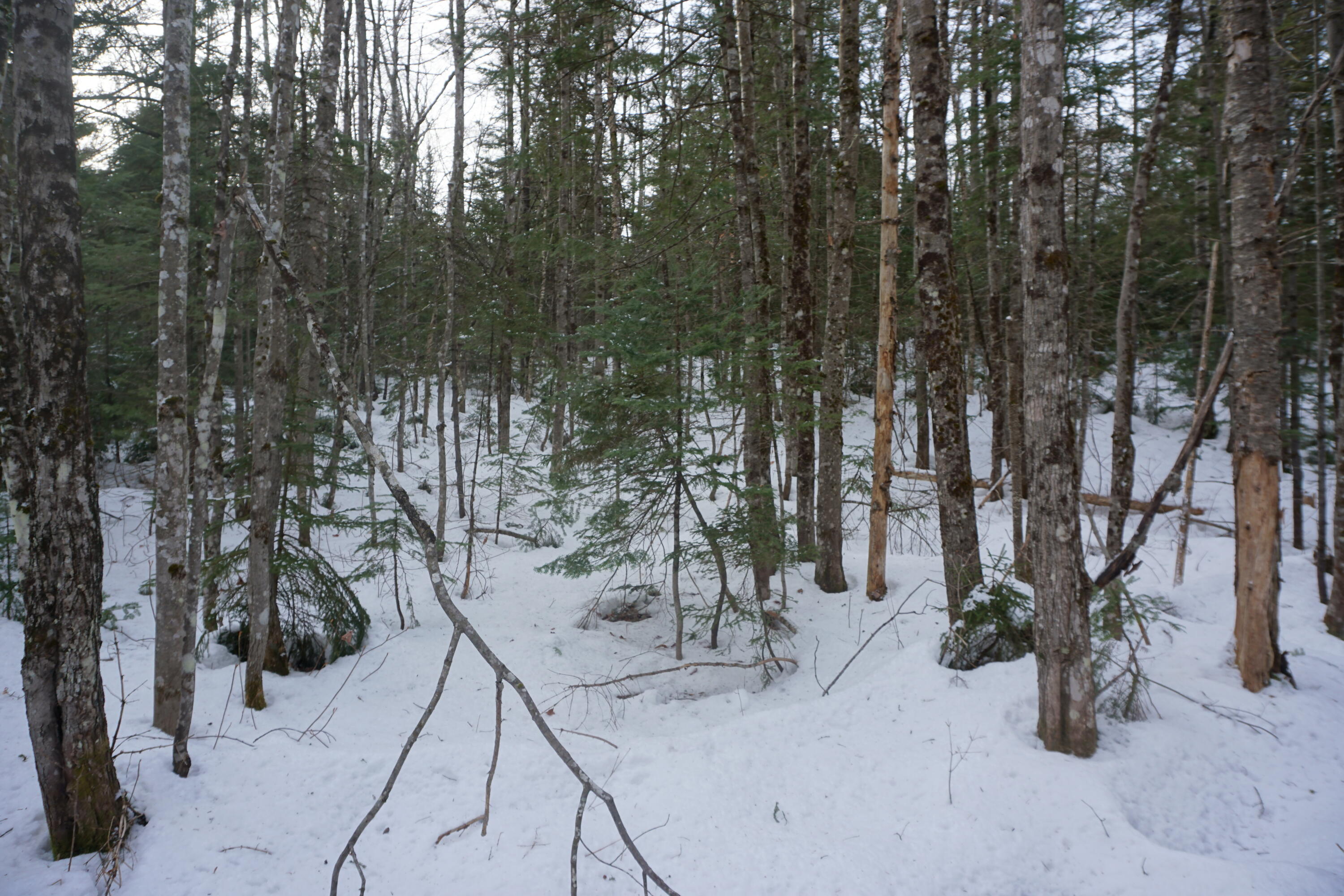 1 Redding Road Sumner, ME 04292 - Photo 18 of 21