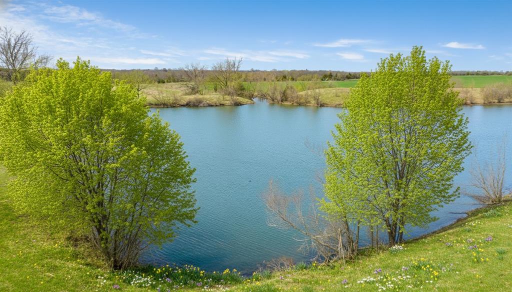 Tbd Market Street Roxton, TX 75477 - Photo 2 of 24