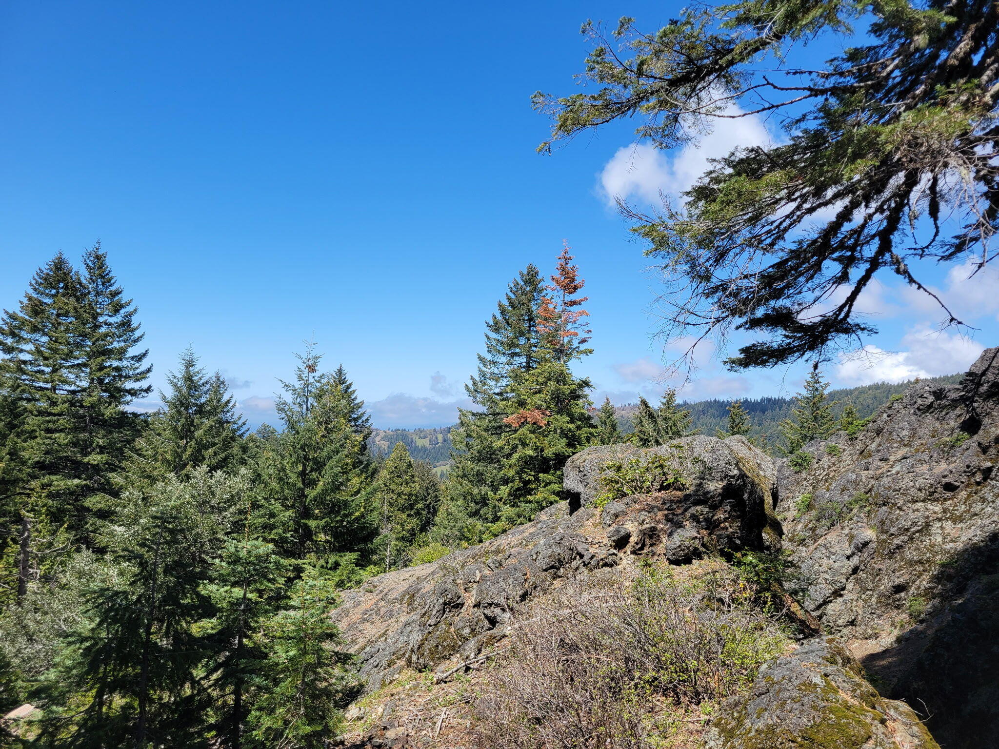 40-acres Snow Camp Road Korbel, CA 95550 - Photo 5 of 26