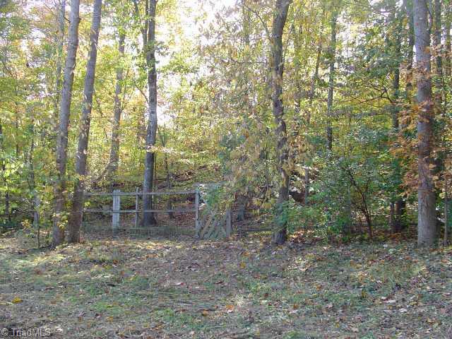 1090 Deer Trail Road King, NC 27021 - Photo 4 of 6 Other.