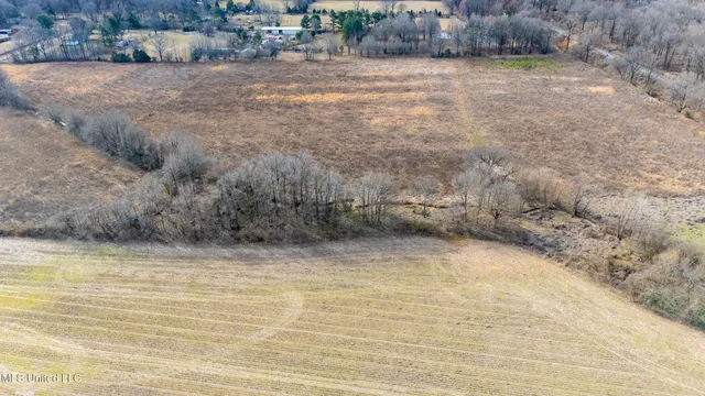 $1,750,000 | 51 South Old Highway, Hernando, MS 38632