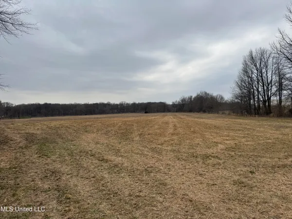 $1,750,000 | 51 South Old Highway, Hernando, MS 38632