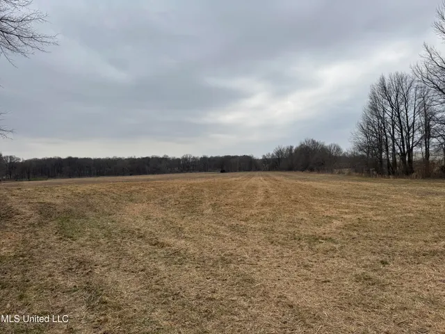 $1,750,000 | 51 South Old Highway, Hernando, MS 38632